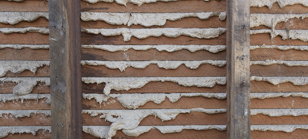 Exposed lathe and mortar from an old wall